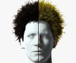 Realistic Hair afro