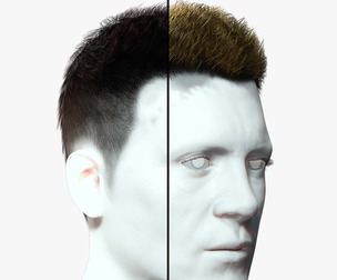 Realistic Hair hawk