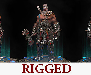 Barbarian Rigged