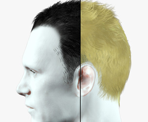 Realitstic Old Man Hairstyle