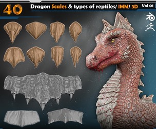 Dragon scales & types of reptiles Vol 01