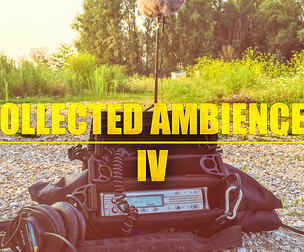 COLLECTED AMBIENCES 04