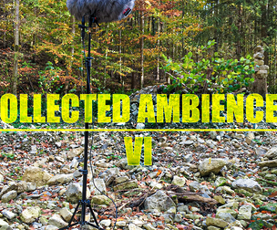 COLLECTED AMBIENCES 06