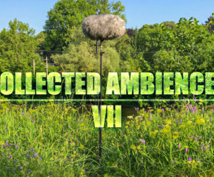 COLLECTED AMBIENCES 07
