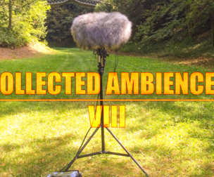 COLLECTED AMBIENCES 08