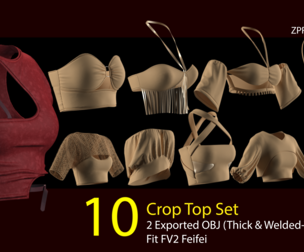 10 Crop Top Pack . (VOL 02) ZPRJ+OBJ+FBX