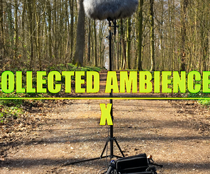 COLLECTED AMBIENCES 10