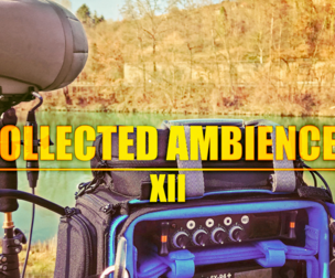 COLLECTED AMBIENCES 12