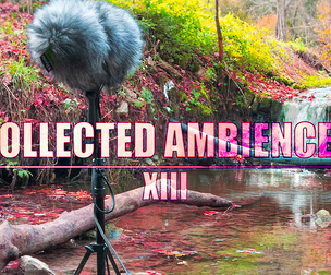 COLLECTED AMBIENCES 13