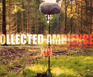 COLLECTED AMBIENCES 14