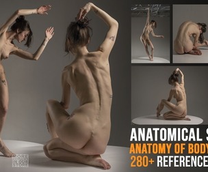280+ Anatomy of Body in Twist