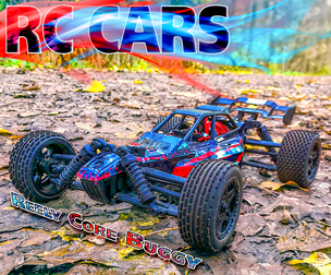 RC CARS | REELY CORE BUGGY