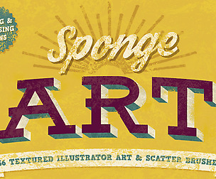 Sponge Brushes