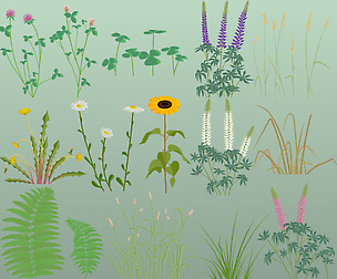 Hand Painted Plants