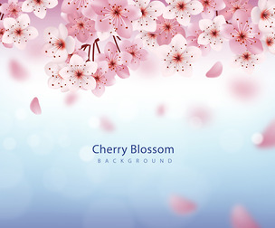 Cherry Blossom Background, Vector EPS File