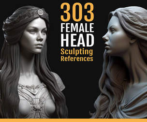 303 Female Head Sculpting References
