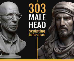 303 Male Head Sculpting References
