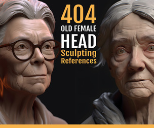 404 Old Female Head Sculpting References