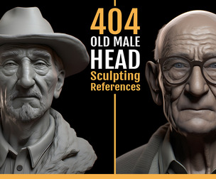 404 Old Male Head Sculpting References