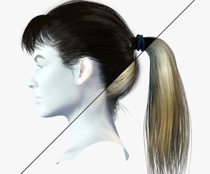 Realistic Female hair card 4