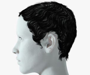 Realistic Female hair afro