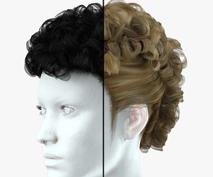 Realistic Female hair modern