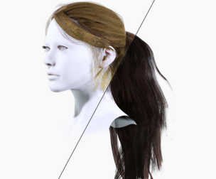 Ponytail Female Hair