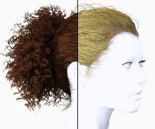 Realistic Curly Ponytail Hair