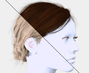 Realistic Woman Hair Style