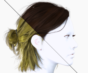 Realistic Female Half Up Short Hair Style