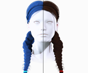 Female Braids Hairstyle