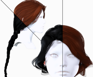 Realistic Female Braided Hair