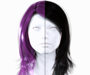 Realistic Long Female hair