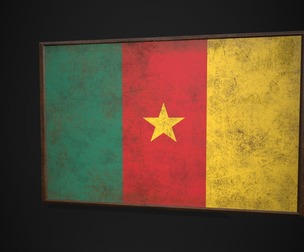 Old Picture Frame With Cameroon Flag
