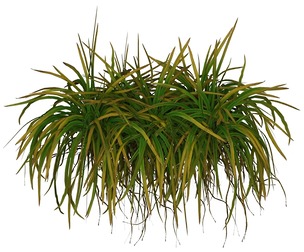 Game Ready Grass 02