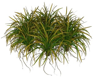 Game Ready Grass 03