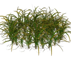 Game Ready Grass 05