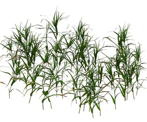 Game Ready Grass 06
