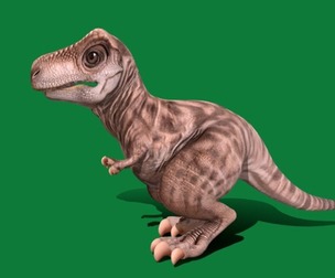 Tyrannosaurus Rex Baby Dinosaur