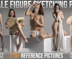 770+ Female Figure Sketching Poses