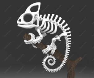 Cameleon Skeleton STL for 3D Print