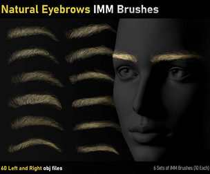 Natural Eyebrows IMM Brushes