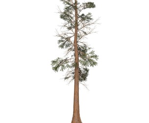 Game Ready Tree 23