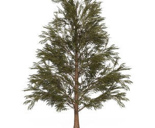 Game Ready Tree 31
