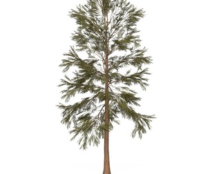 Game Ready Tree 32