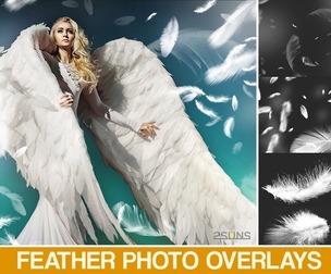 Feather Overlays, Angel, White Feather, PNG