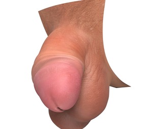 Realistic Small Thick Penis
