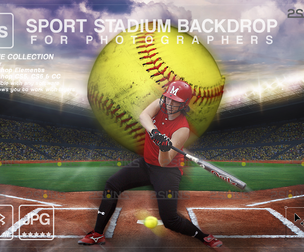 Digital Backdrop SOFTBALL Sport Stadium Overlay