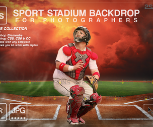 Digital Backdrop BASEBALL Sport Stadium Overlay