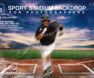 Digital Backdrop BASEBALL Sport Stadium Overlay